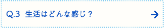 Q.3  生活はどんな感じ？